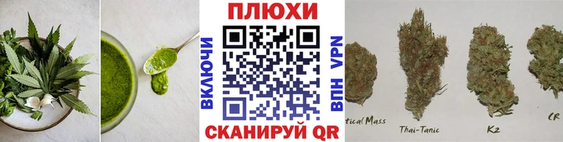 Canna-Cookies конопля  купить наркотики сайты  Великий Устюг 