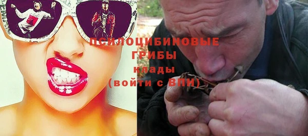 экстази Богородск