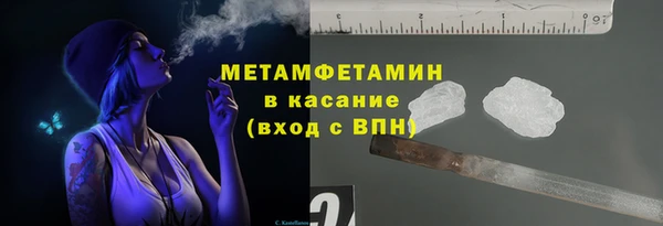 шишки Бородино