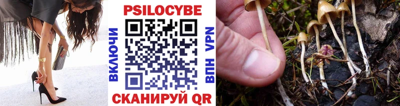 Псилоцибиновые грибы мицелий  купить   площадка клад  Великий Устюг 